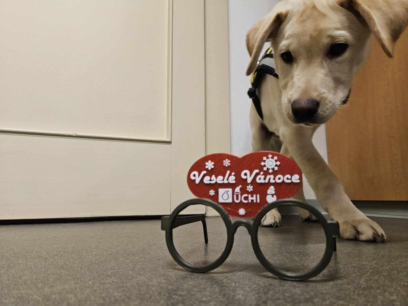 Poklidné prožití svátků vánočních
