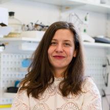  ◳ Vanluchene (jpg) → (ořez 215*215px)