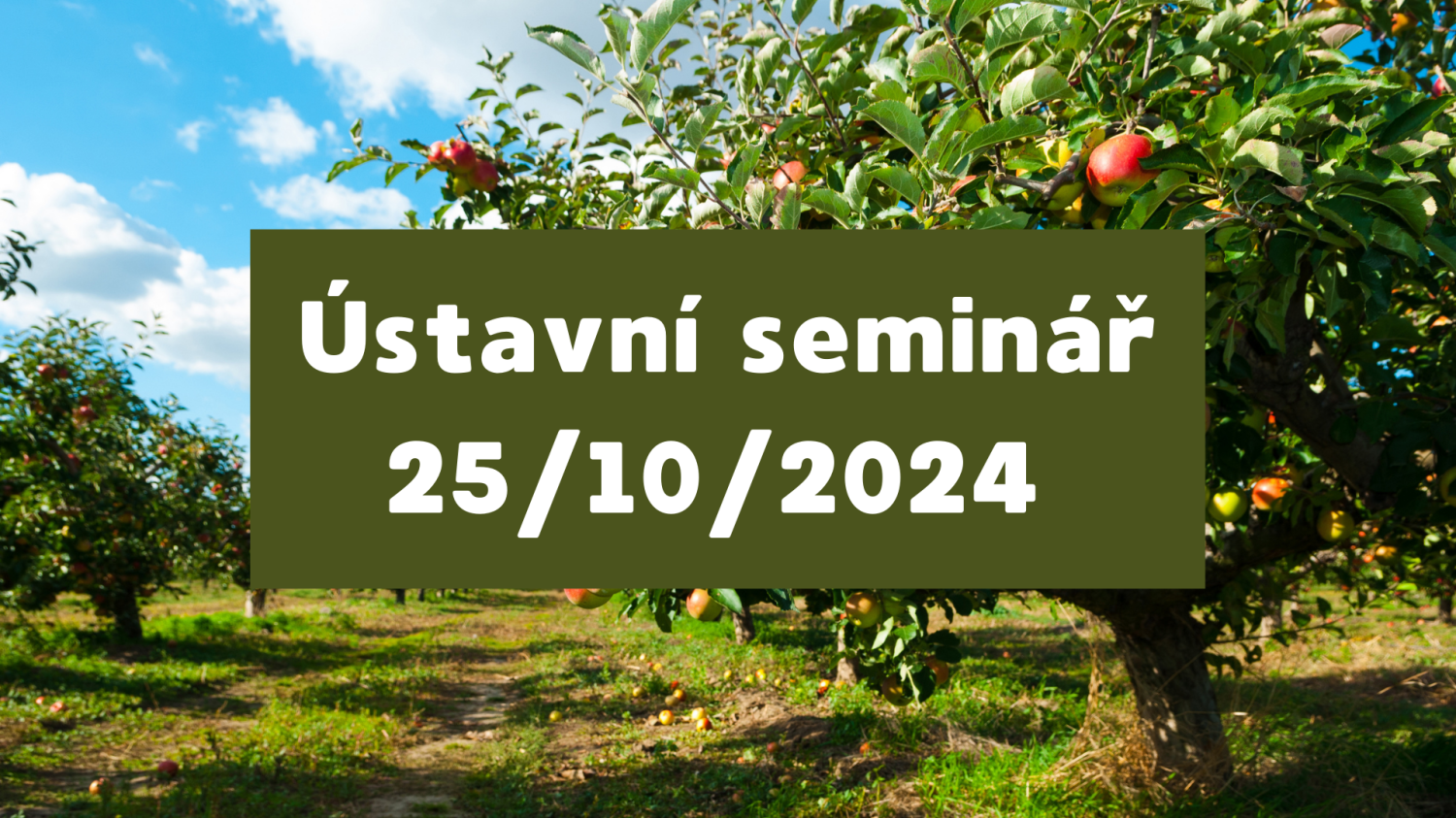 Ústavní seminář Ústavní seminář